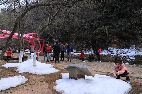 踏雪寻梅 吸引众多游客前来游玩.JPG