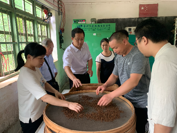特派员服务江头茶产业 (1).jpg