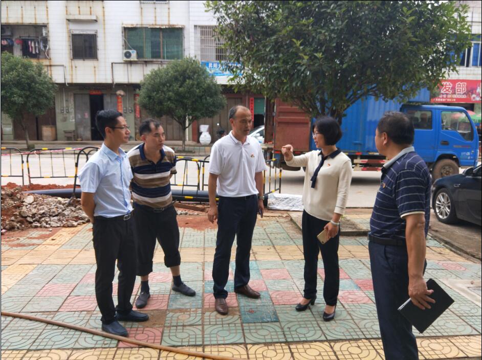 马细妹到邓坊镇指导创建省卫生镇和文化站升级改造工作