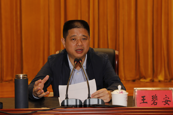 王碧安强调:以省卫生城市复审迎检为契机 使城市更整洁 环境更优美