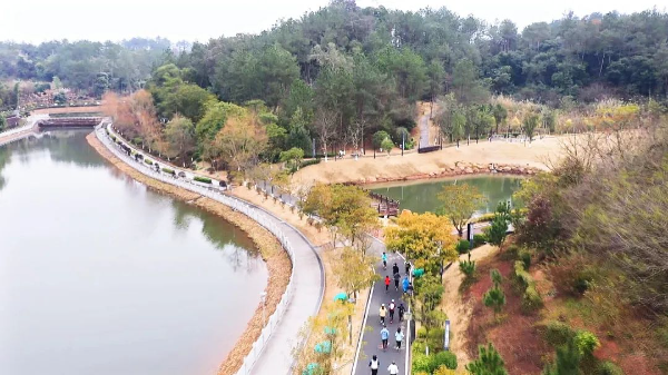 已编辑图片