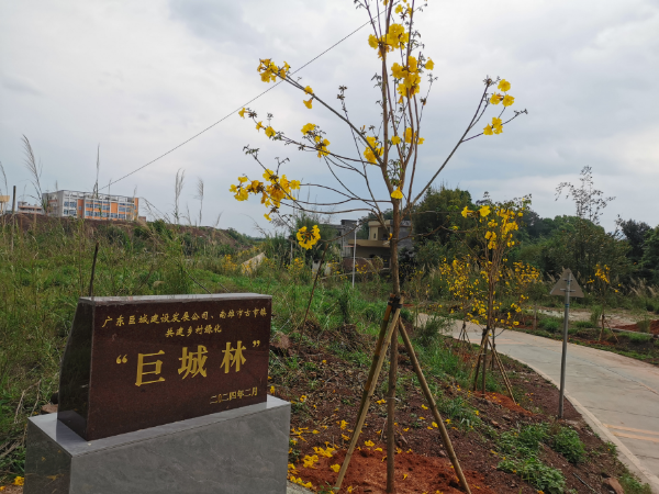 图片3.jpg