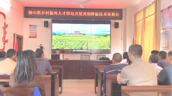 图片3.png