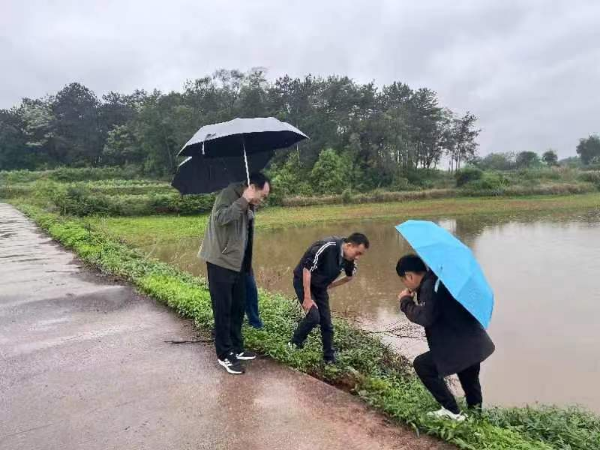 图1.jpg