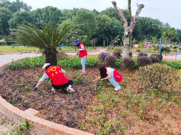 水南村与公园社区联建除草.jpg