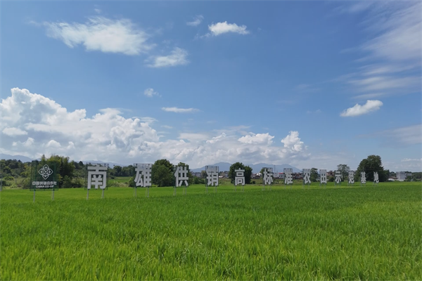 供销社高标准农田建设 (2).png