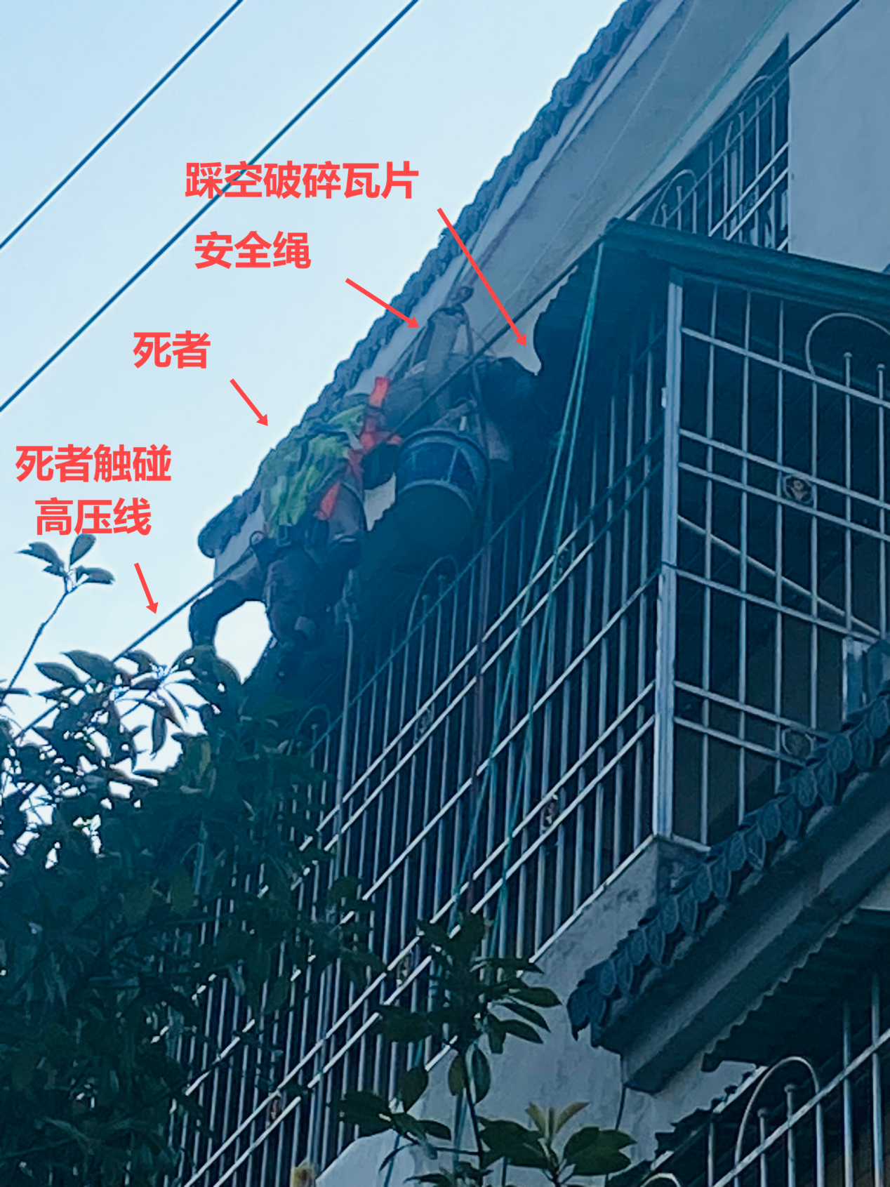 2024年11月29日下午2.png