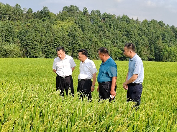 微信图片_20250708105648.jpg