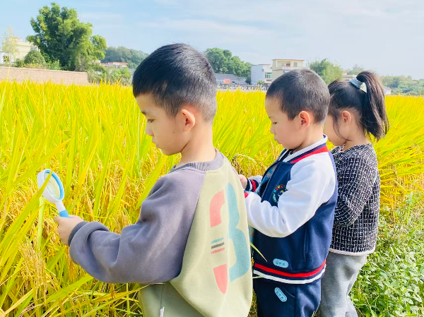 幼儿在观察探索.jpg