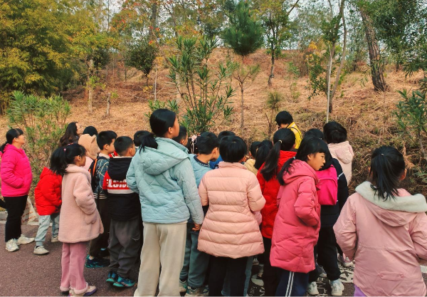 图片1.png