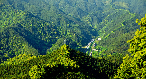 帽子峰森林公园。.jpg