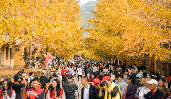 南雄市帽子峰旅游景区游人如织.jpg