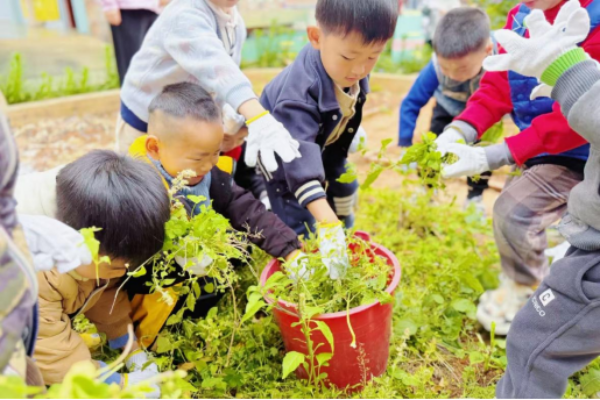 微信图片_20260320102100_11_33.png