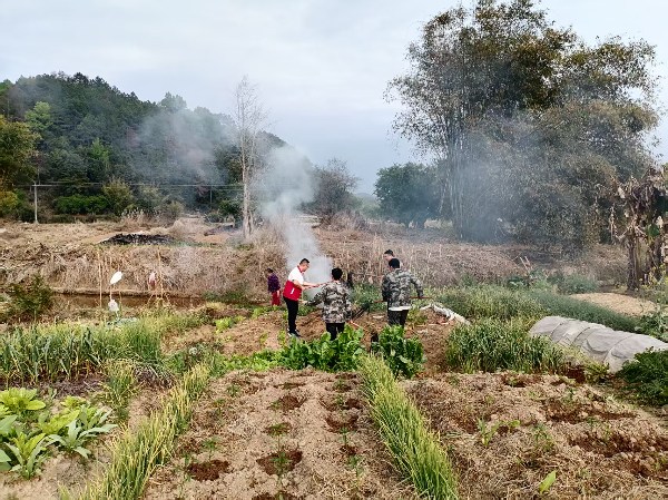 深入田间地头巡查宣传.jpg